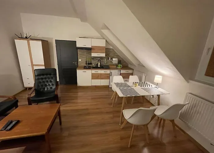 Francis Apartment - Lazenske Centrum