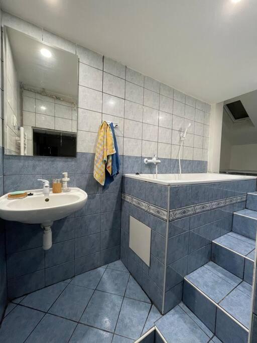 Francis - Lazenske Centrum Apartment Karlovy Vary